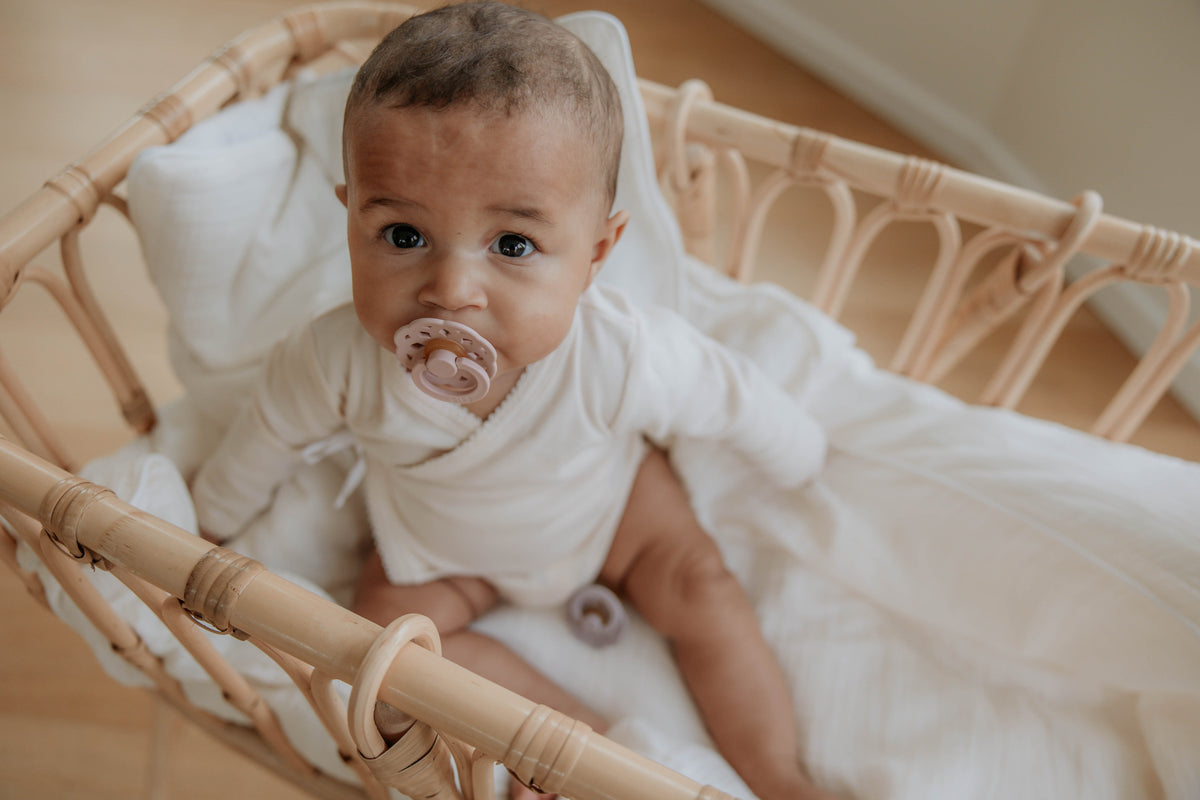 Bibs Pacifiers Tinycrew